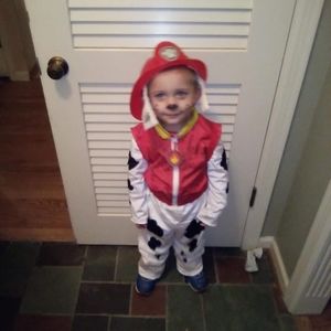 Meet your Posher, Steven